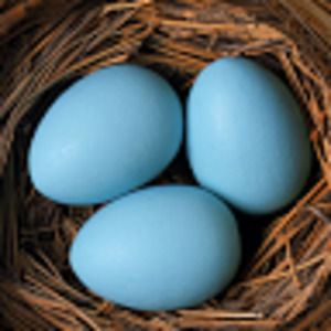 Meet your Posher, Maria j.